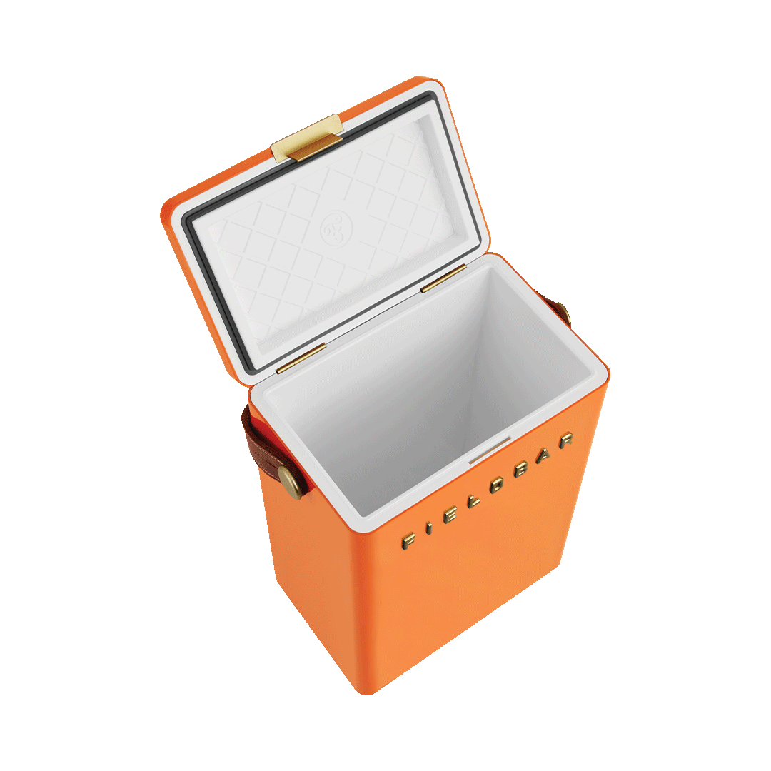 Orange Cooler Box for sale