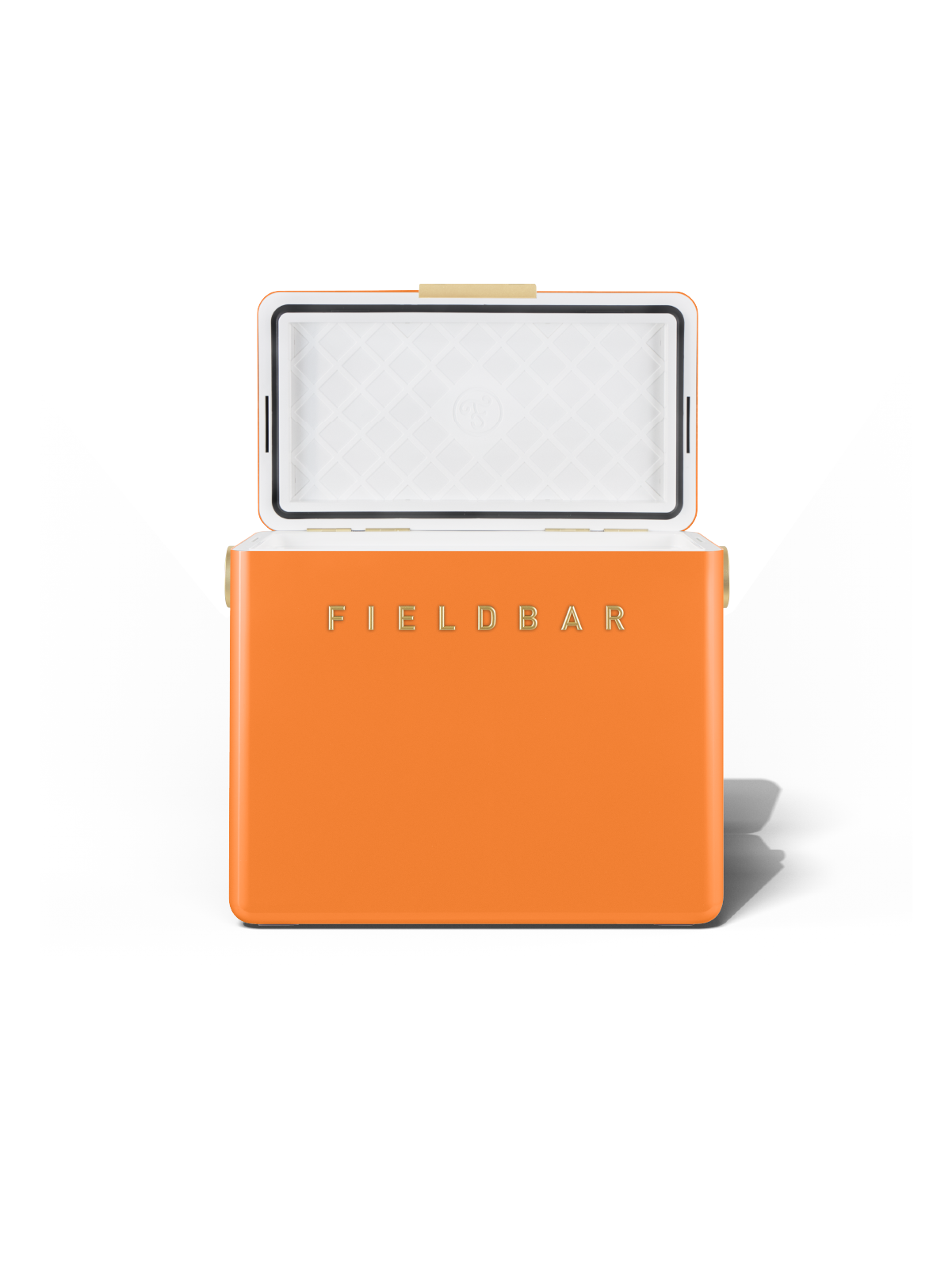 Gin Trunk / Orchard Orange