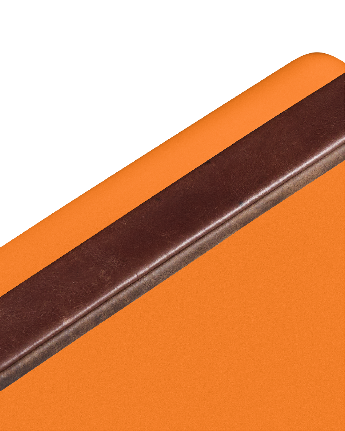 Gin Trunk / Orchard Orange