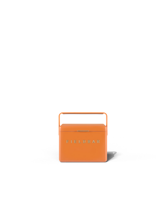 Mini Bar & Swing Sling / Orchard Orange